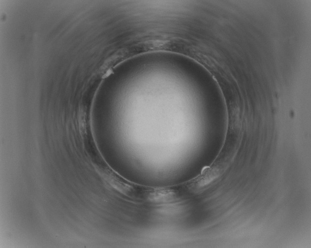 X0000073390274200607281107