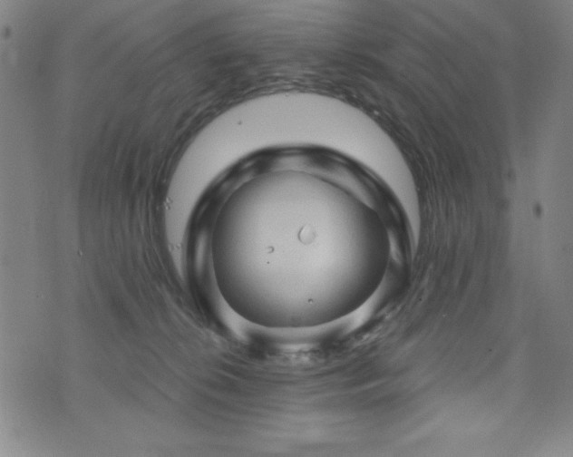 X0000073390276200607281107