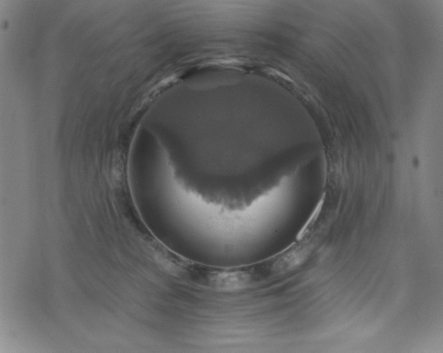 X0000073390277200607281107