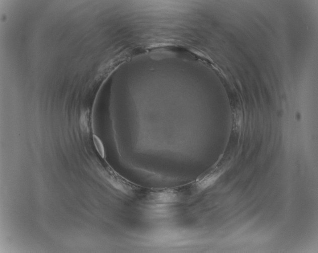 X0000073390286200607281107