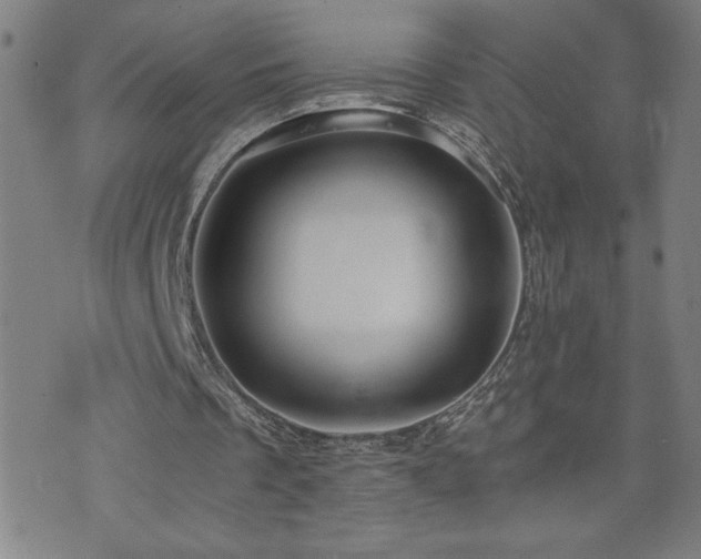X0000073390289200607281106