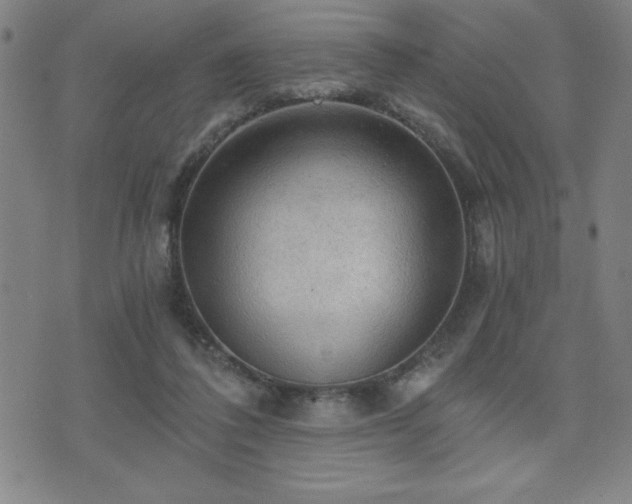 X0000073390308200607281106