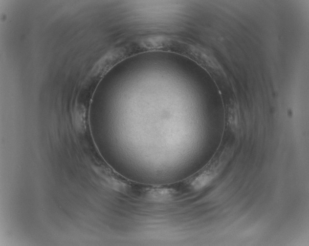 X0000073390332200607281106