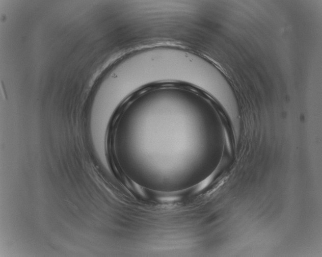 X0000073390350200607281105