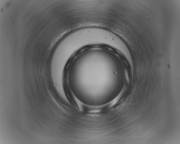 X0000073390352200607281105