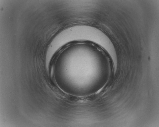X0000073390364200607281105