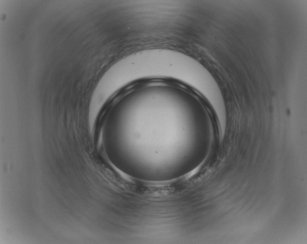 X0000073390368200607281105