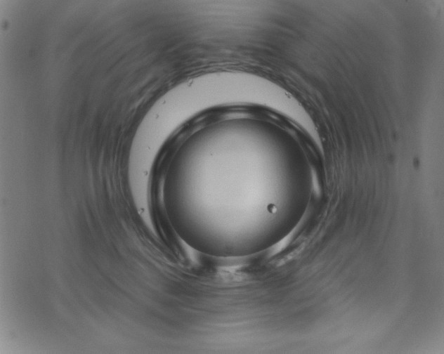 X0000073390376200607281106