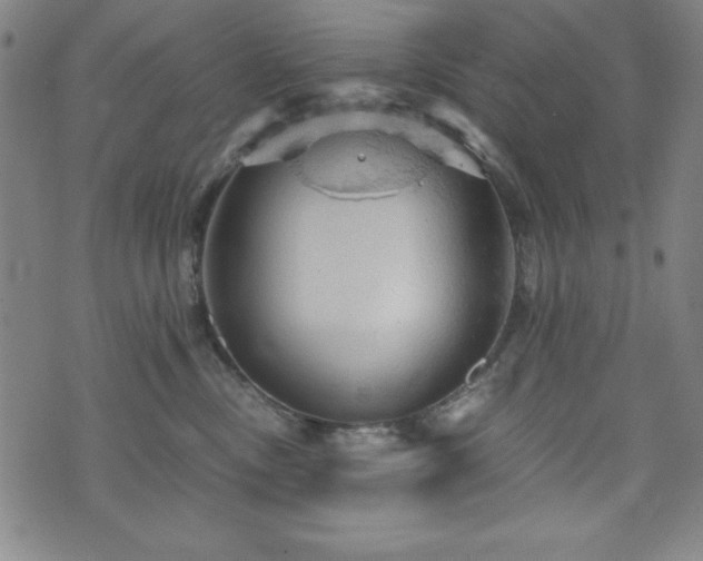 X0000073390378200607281106