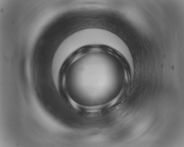 X0000073390383200607281106