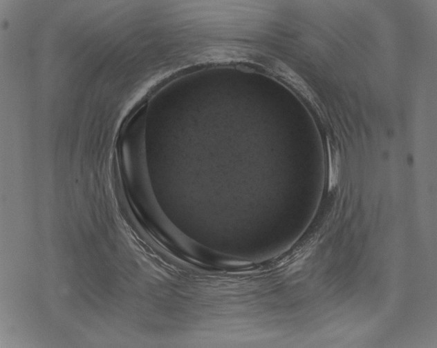 X0000073390387200607281105