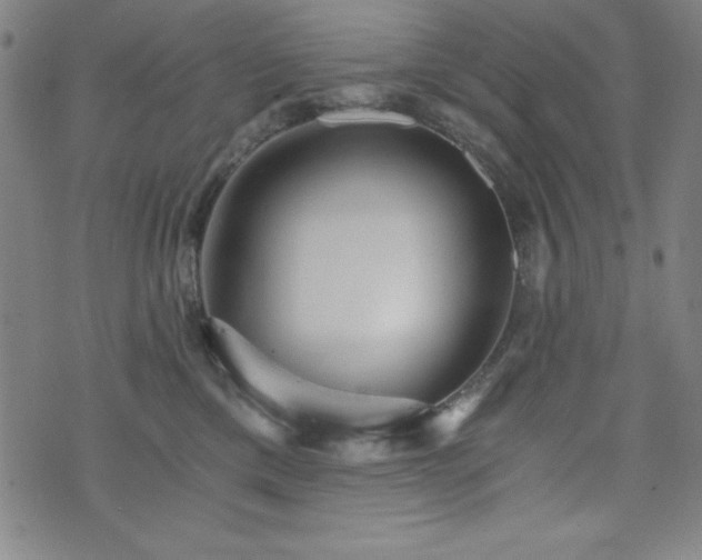 X0000073390425200607281104