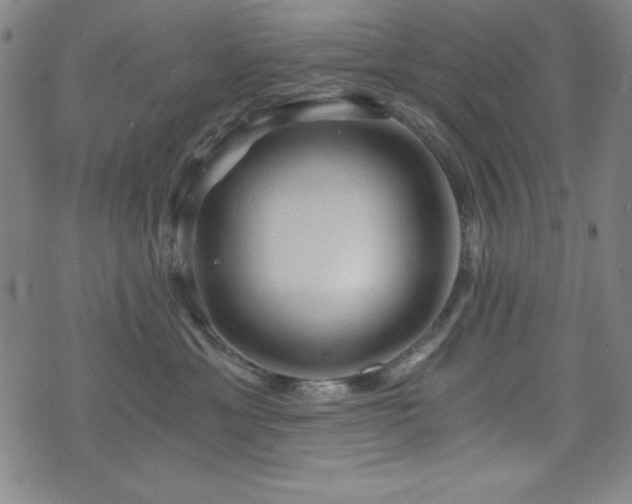 X0000073390429200607281104