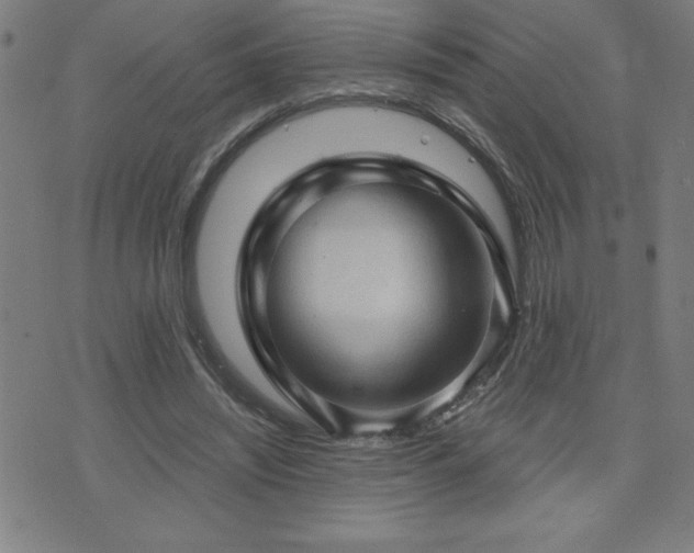 X0000073390444200607281103