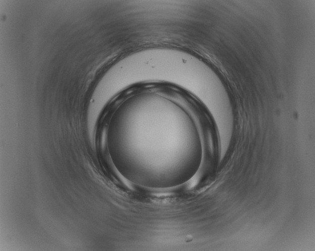 X0000073390450200607281104