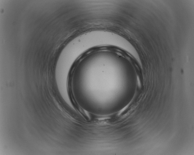 X0000073390456200607281104
