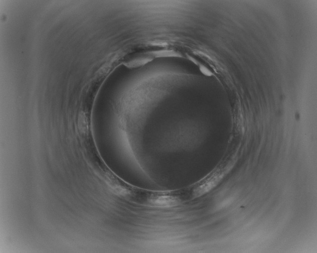 X0000073390467200607281104