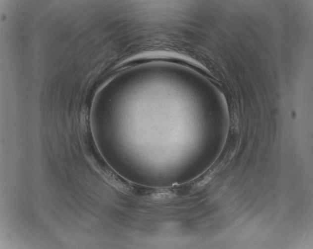 X0000073390468200607281104