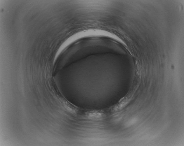 X0000073390471200607281104