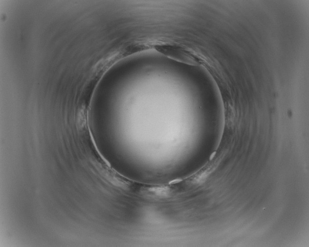 X0000073390478200607281104