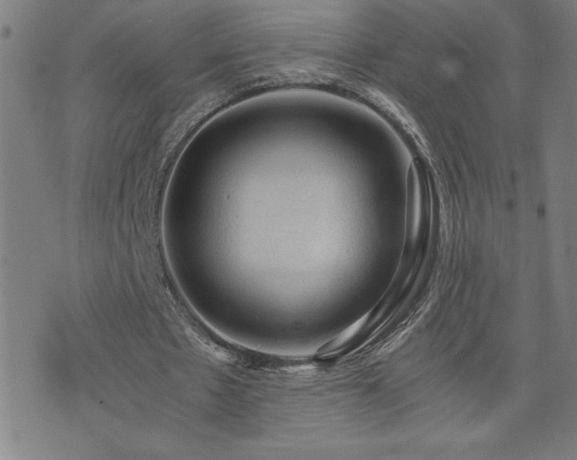 X0000073390481200607281103