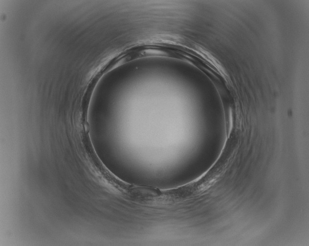 X0000073390485200607281103