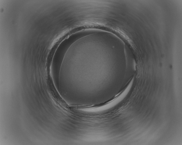 X0000073390488200607281103