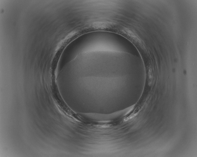 X0000073390492200607281103