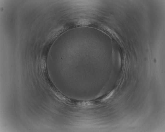 X0000073390517200607281103