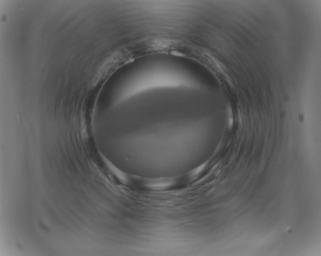 X0000073390524200607281103