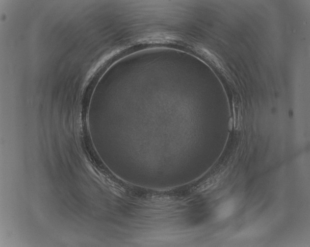 X0000073390531200607281102