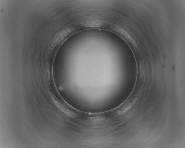 X0000073390541200607281102