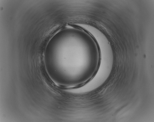 X0000073390546200607281102