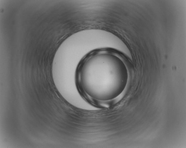 X0000073390576200607281103