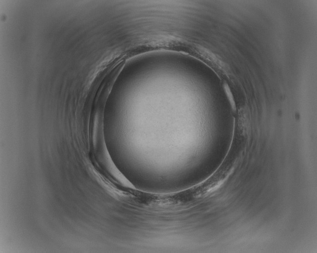 X0000073390589200607281102