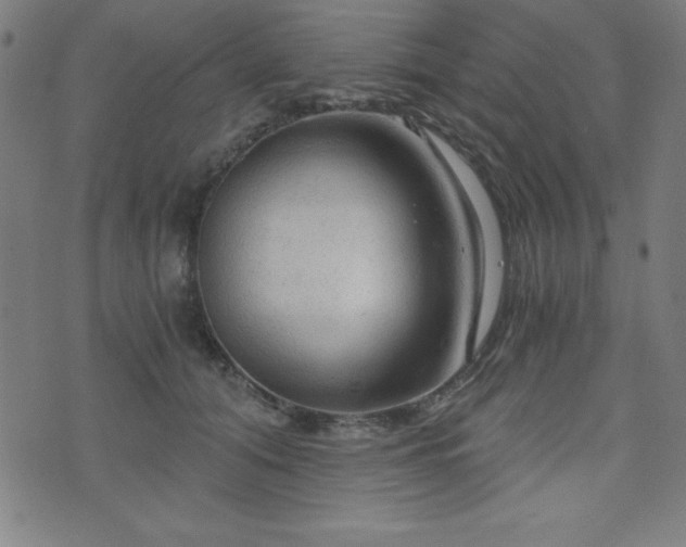 X0000073390608200607281101