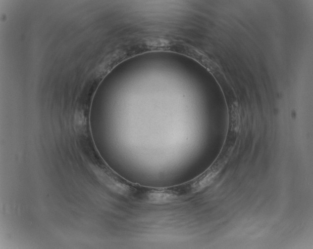 X0000073390614200607281101