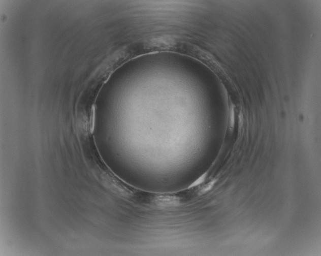 X0000073390617200607281101