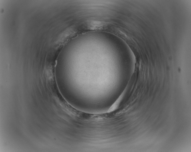 X0000073390620200607281101