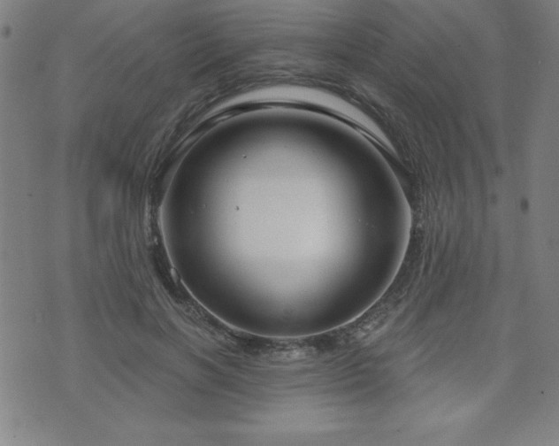 X0000073390646200607281101