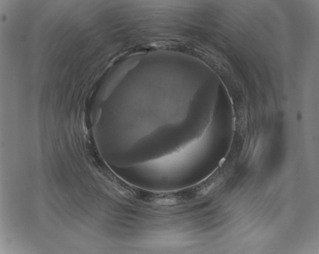 X0000073390653200607281101