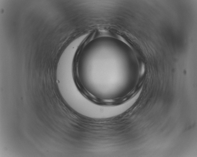 X0000073390661200607281101