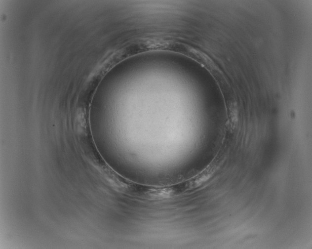 X0000073390667200607281101