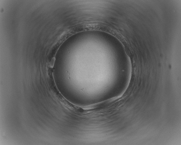 X0000073390712200607281100