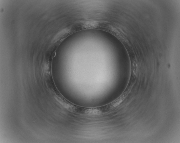 X0000073390714200607281059