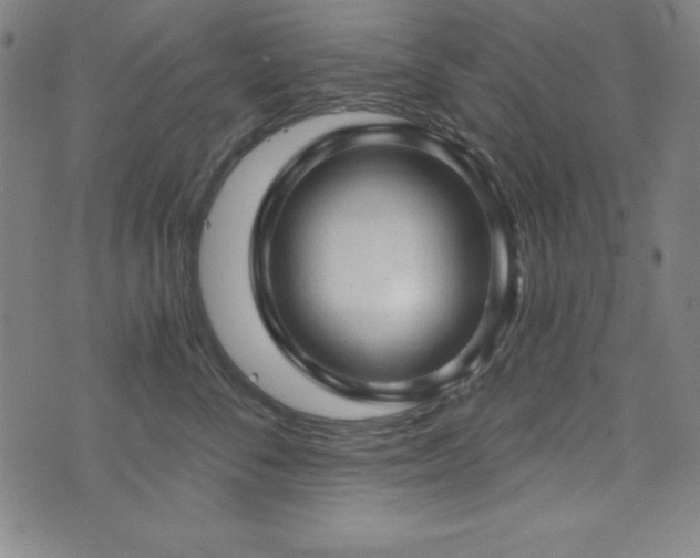 X0000073390716200607281059
