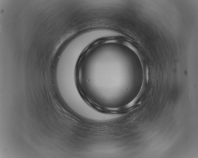 X0000073390731200607281059