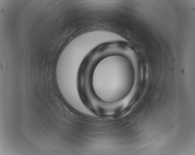X0000073390760200607281059