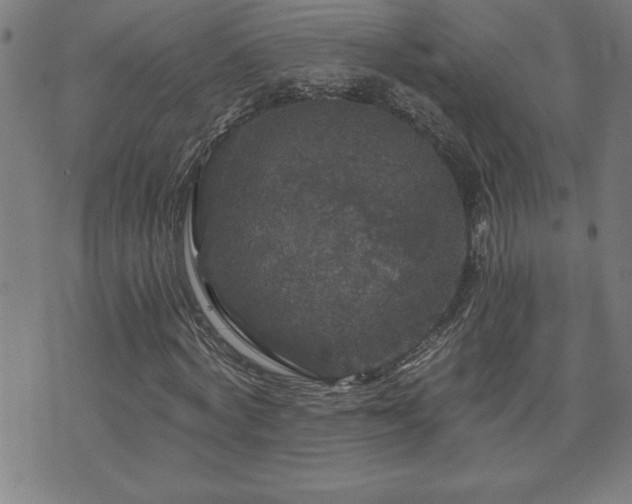 X0000073390772200607281059