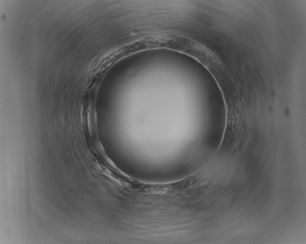 X0000073390773200607281059